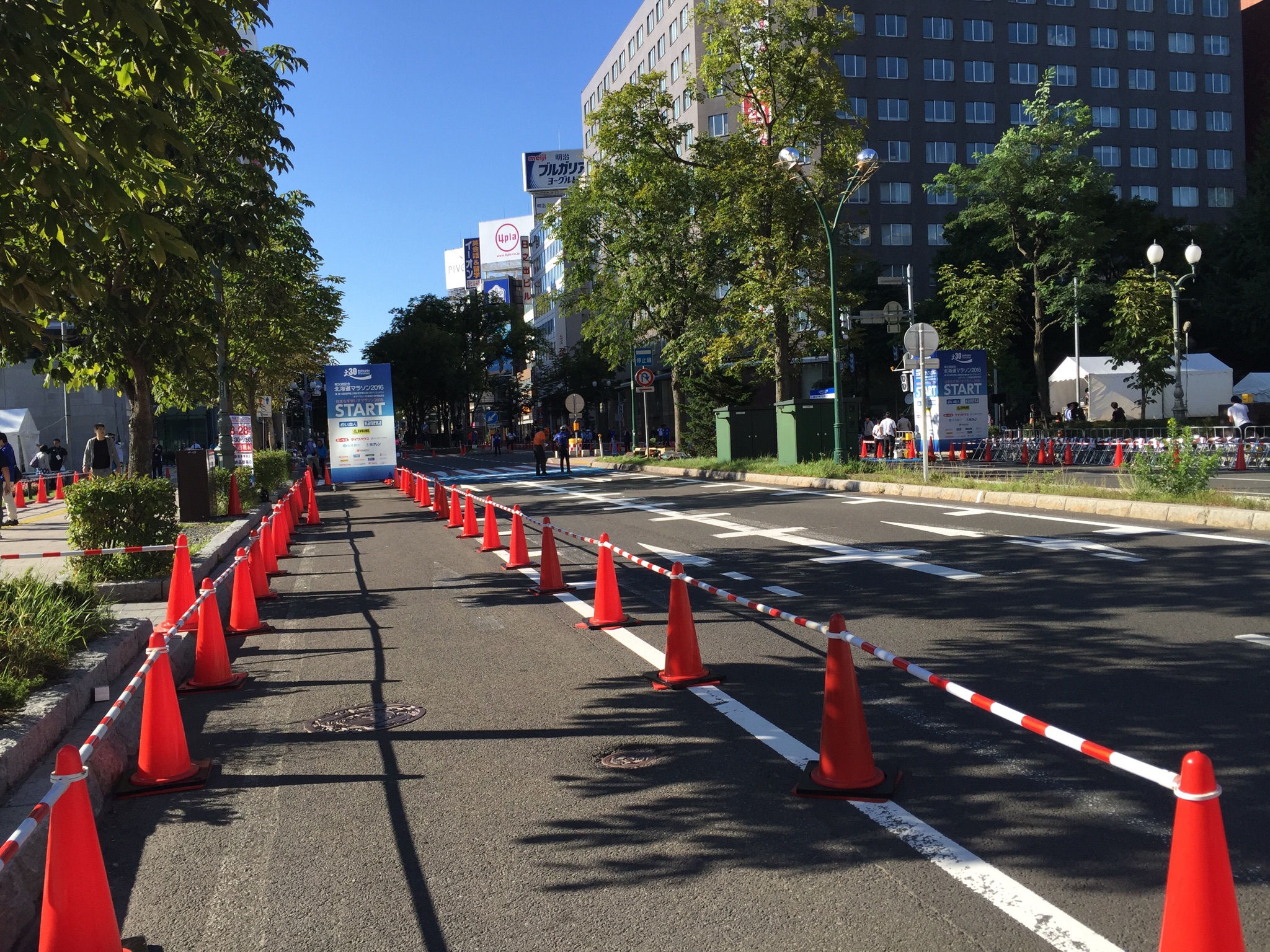 北海道マラソン2016　脳に負けた