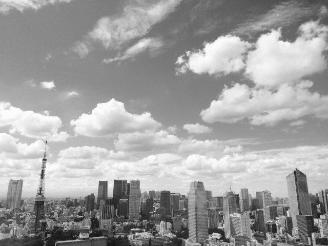 東京オリンピックの代表選考は、選考基準が非常に明確で良いのではないでしょうか？