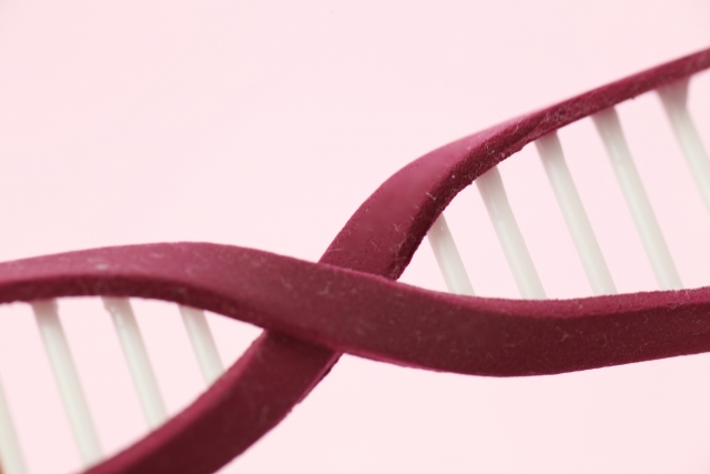 鉄と乳がんの関係その２　リスクの高い遺伝子を持っている人は鉄のサプリメントは非常に危険である