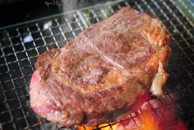 若い人でもアルブミン値が低く、低栄養に見える理由（仮説）