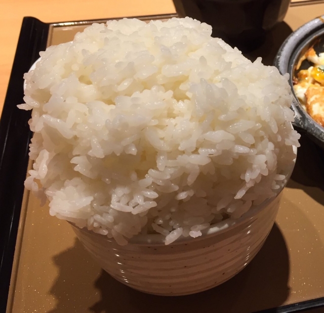 肥満の「炭水化物-インスリンモデル」