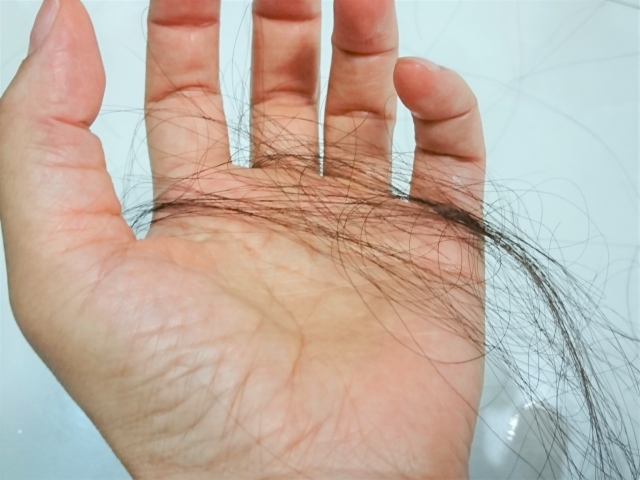 毛が抜け始めたら糖質制限？
