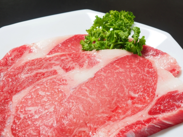 高タンパク食は腎臓に悪影響がないばかりか糸球体濾過量（GFR）を増加させる