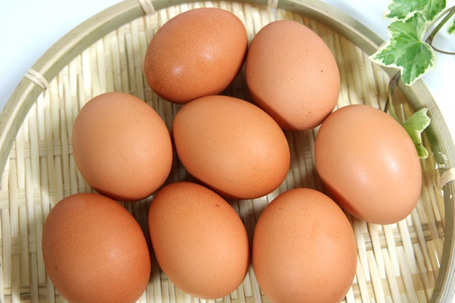 妊婦さんは卵を食べよう　その1　子供の認知能力