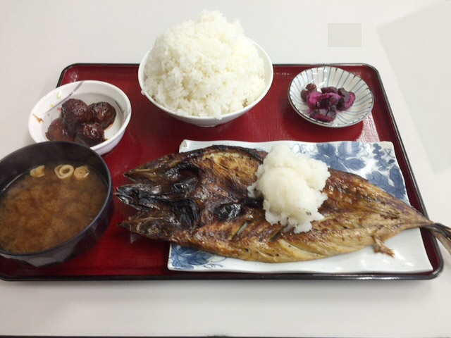 栄養士の英才教育？
