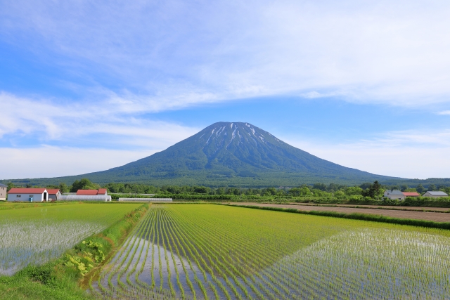 羊蹄山麓100kウルトラチャレンジランの高低差