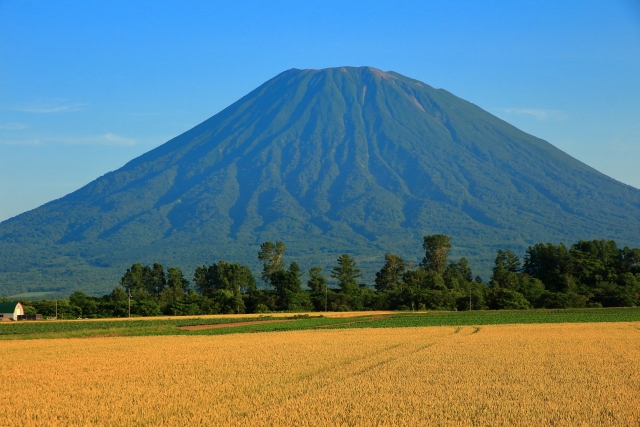 秋の羊蹄山の絶景を楽しみながらのウルトラマラソン！