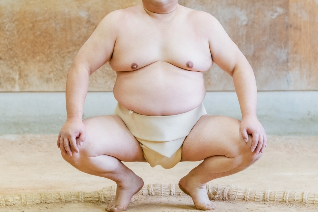 相撲は世界一不健康なスポーツかもしれない　その1