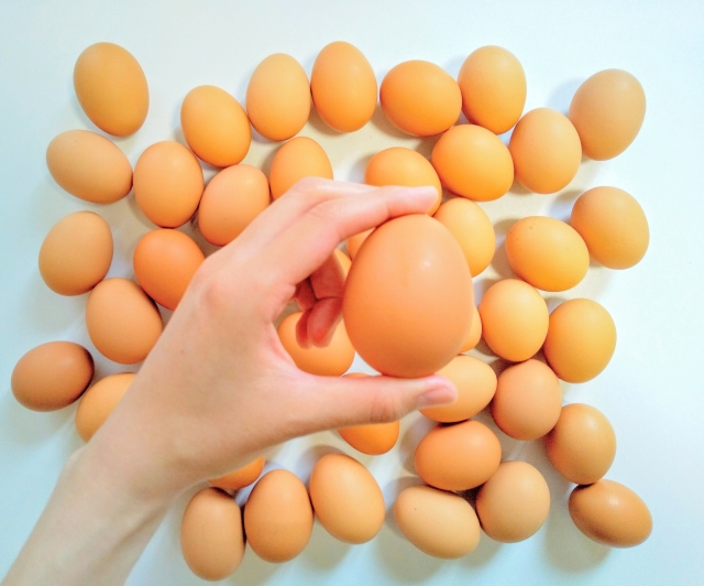 家族性高コレステロール血症の食事は低飽和脂肪酸、低コレステロールではなく、糖質制限にすべき　その2