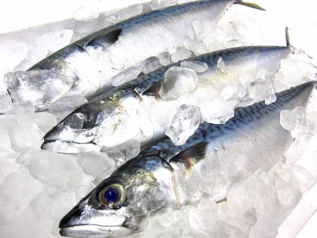 アラキドン酸は本当に炎症を促進するのか？