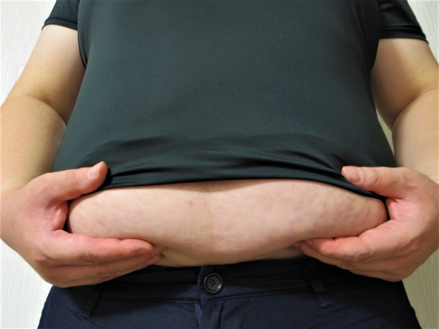 メタボの人は食事の量ではなく摂食行動に問題？本当？