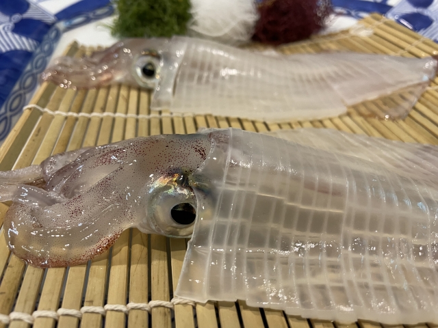 コレステロールの低い人は死亡率が高いというコレステロールパラドックス