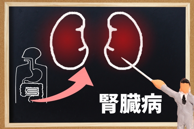 中性脂肪/HDLコレステロール比の増加は腎機能低下のリスクを上げる