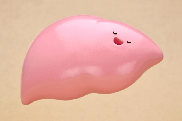 肝臓のエネルギー源