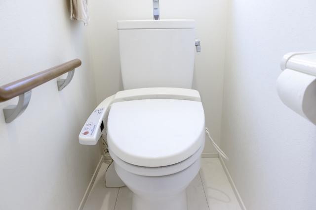 腎臓結石、尿管結石も糖質過剰症候群　その1