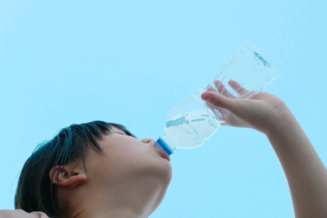 糖質入りドリンクの大量摂取は若者の骨密度を低下させるかもしれない　その2