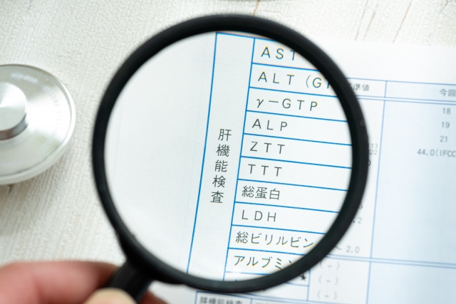 糖質制限でケトーシスになっている人が糖質制限を止めたらどうなる？　その4　肝機能とインスリン抵抗性